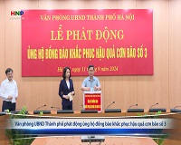 Văn phòng UBND Thành phố phát động ủng hộ đồng bào khắc phục hậu quả cơn bão số 3